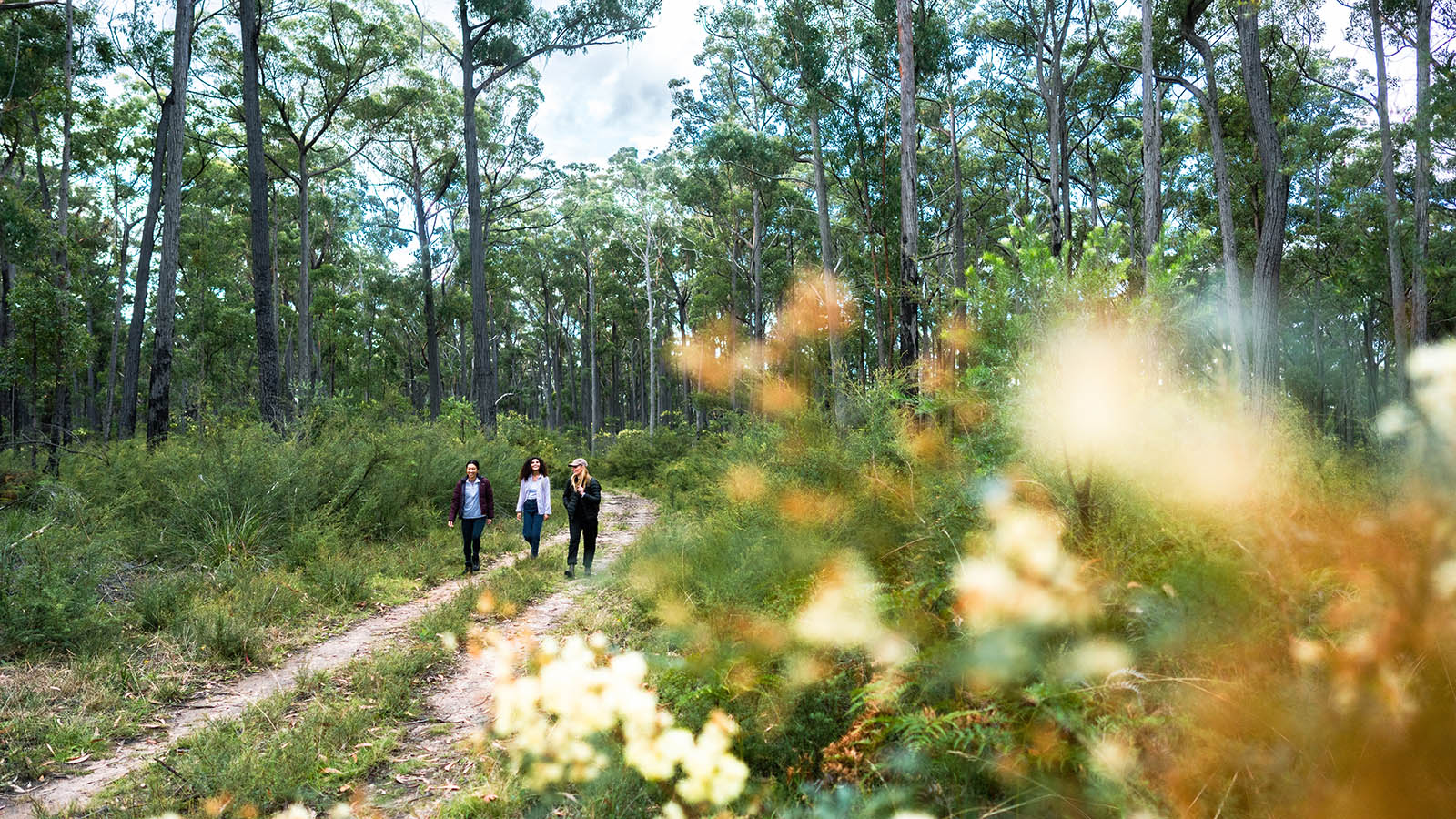 Gippsland, Victoria, Australia