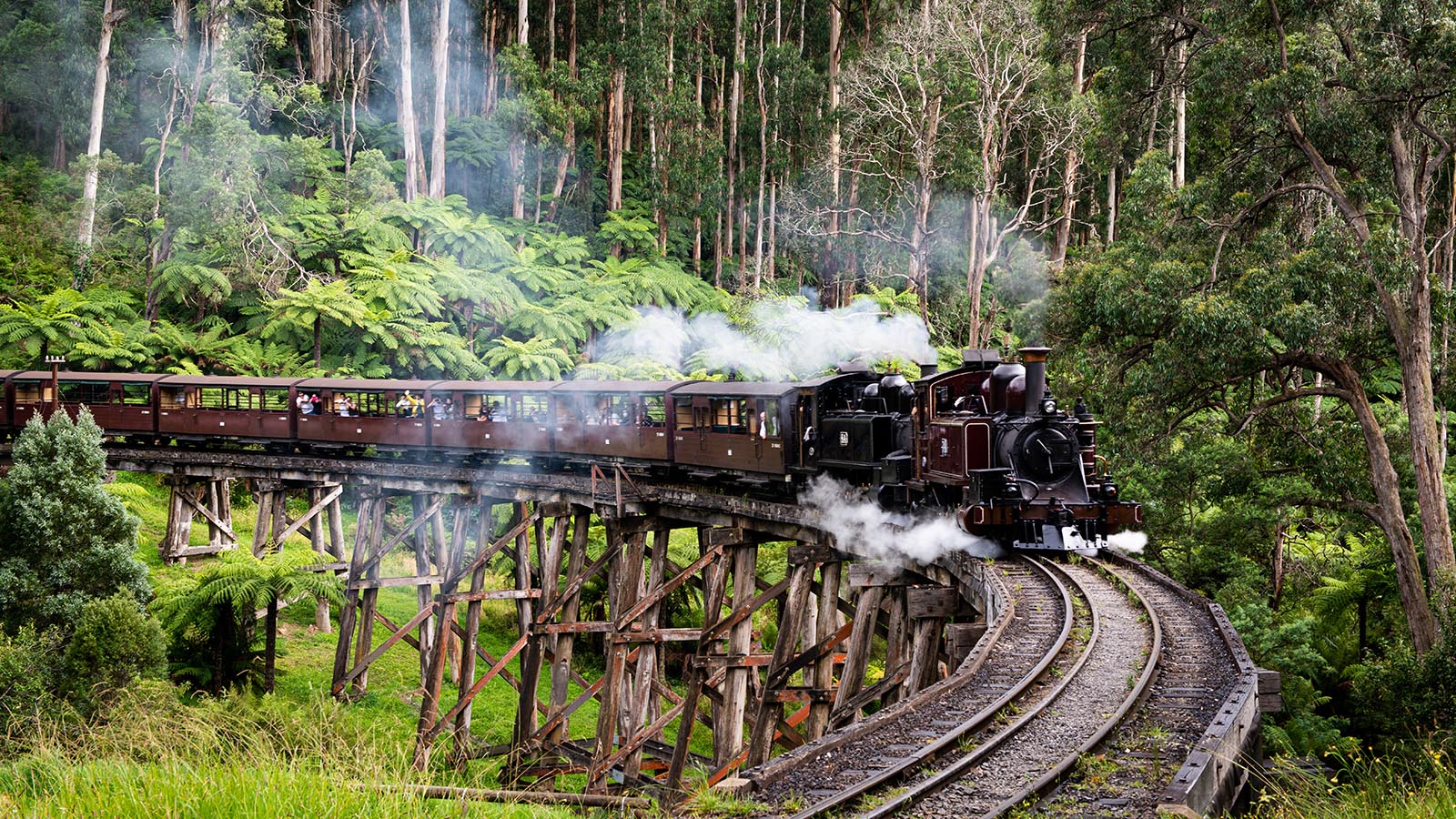 Puffing Billy, Dandenong Ranges, Victoria