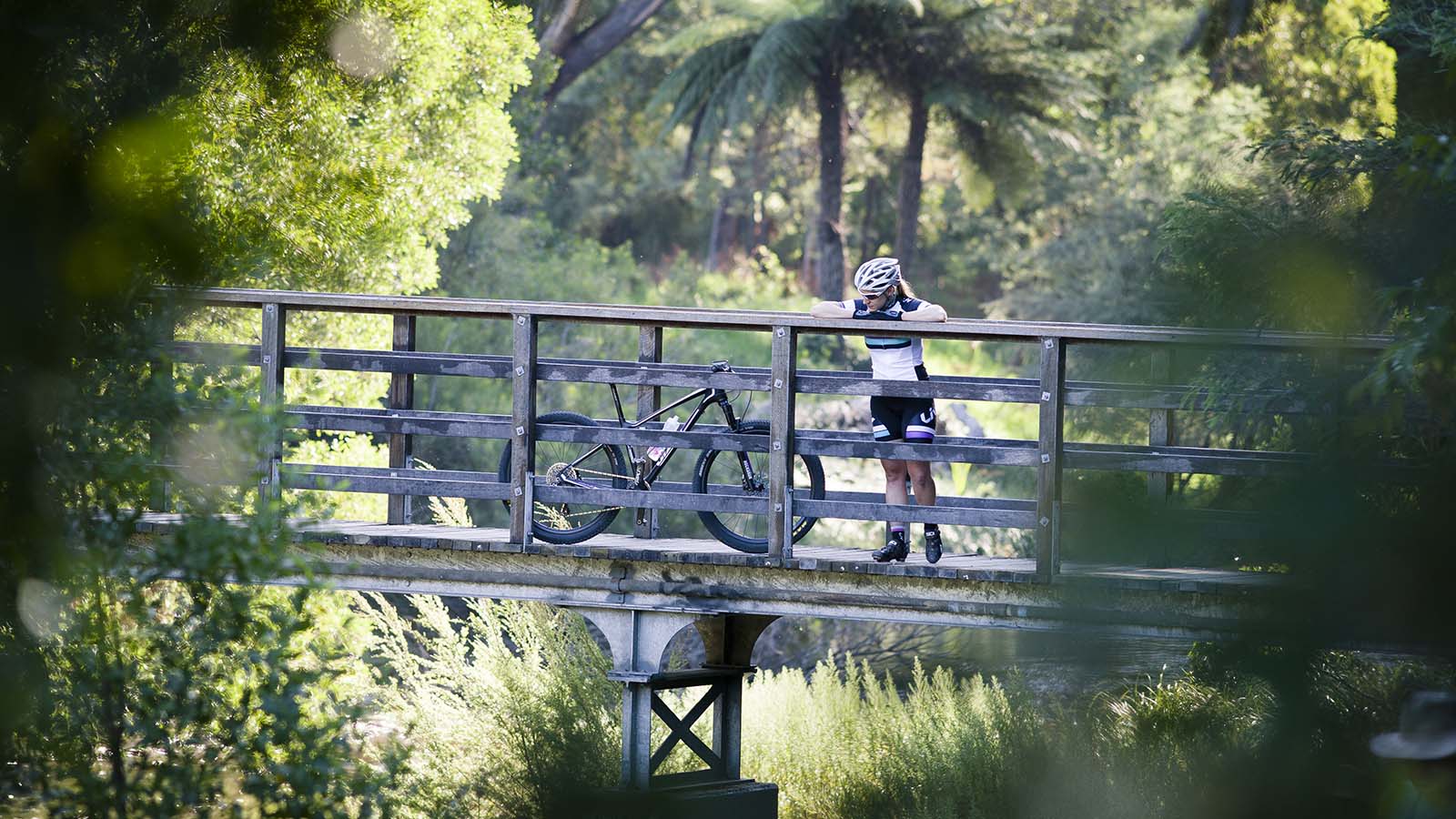 Warburton Rail Trail, Yarra Valley & Dandenong Ranges, Victoria, Australia