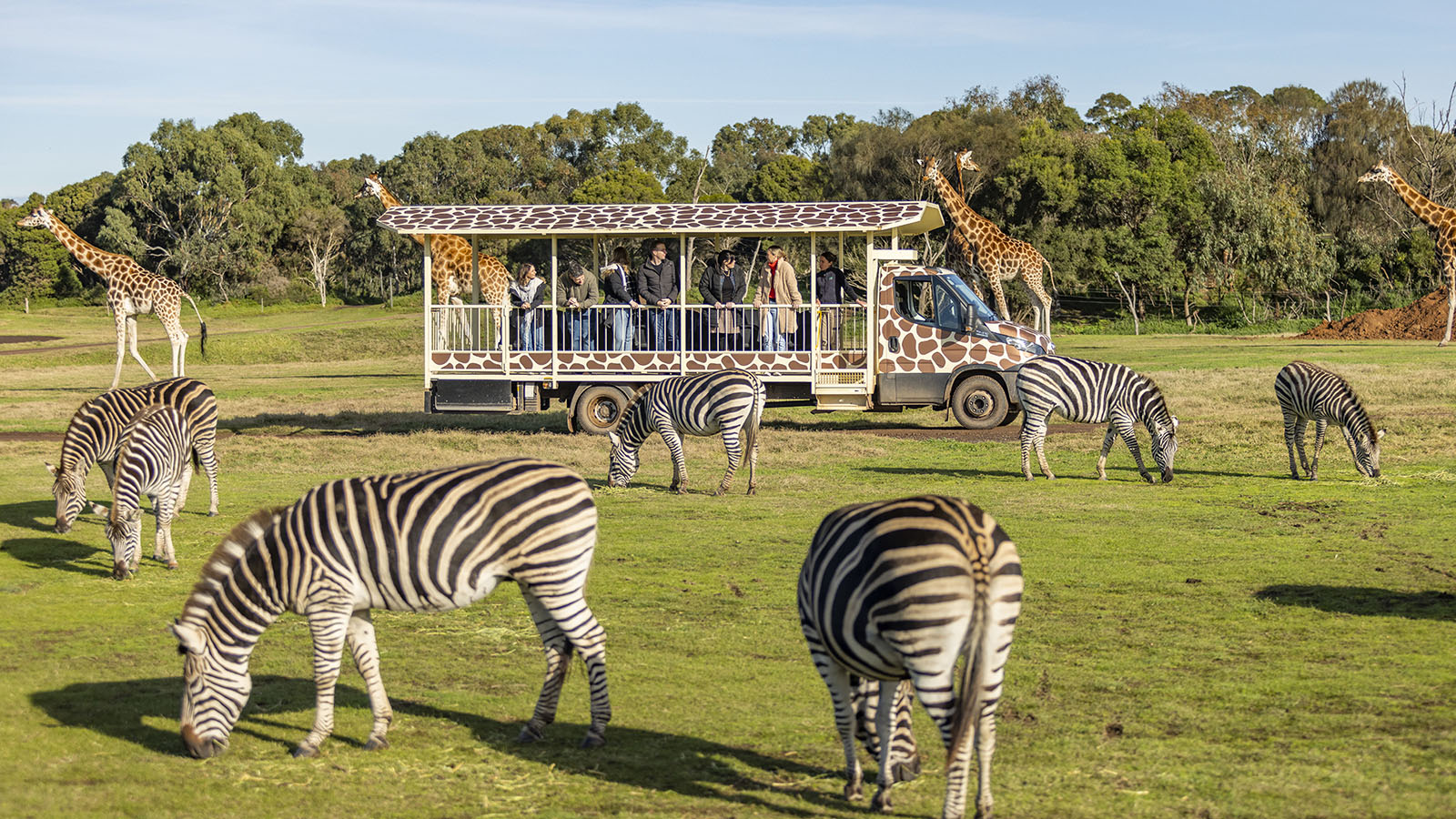 Werribee Open Range Zoos, Victoria, Australia