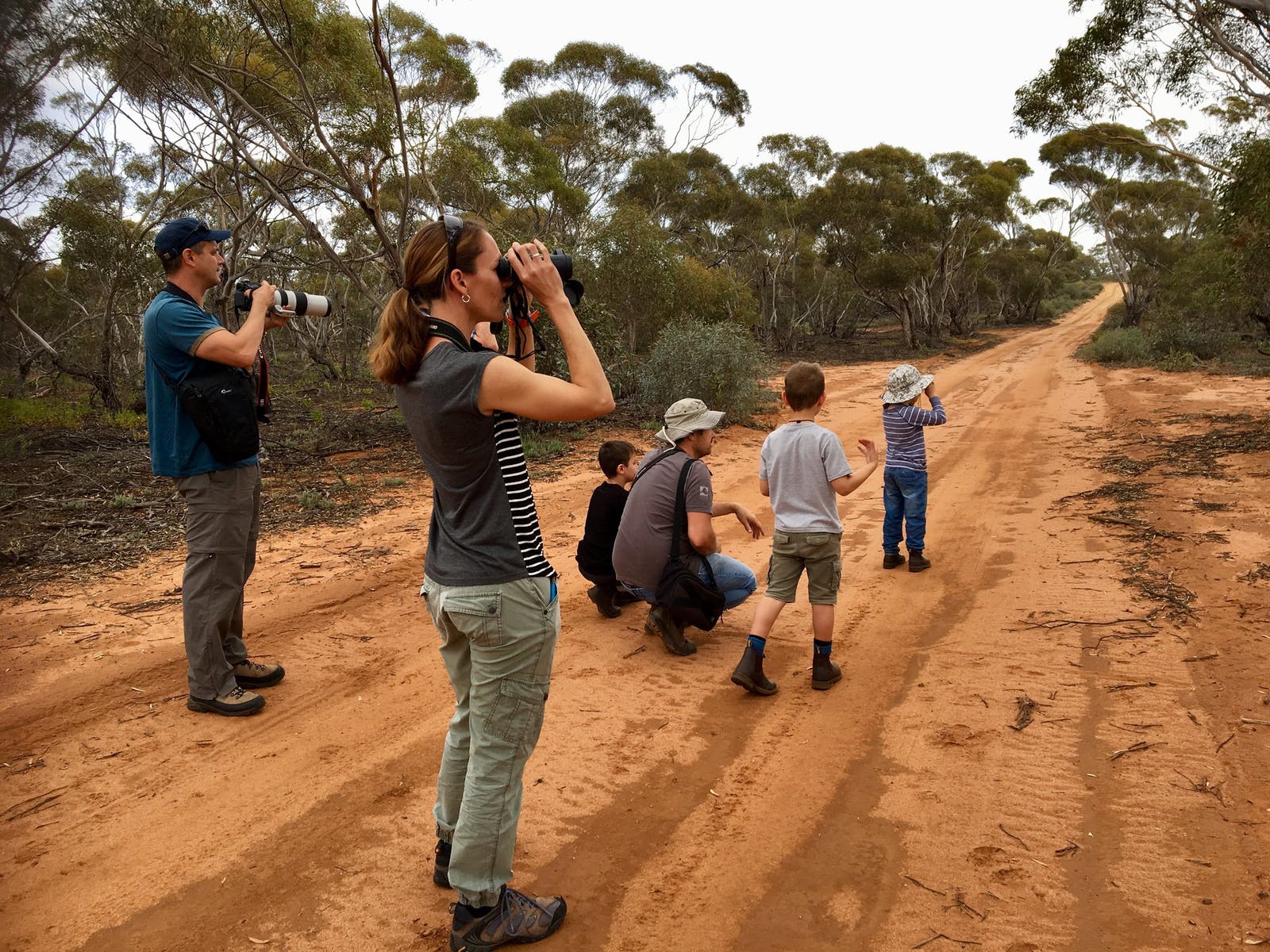 Fun for the whole family