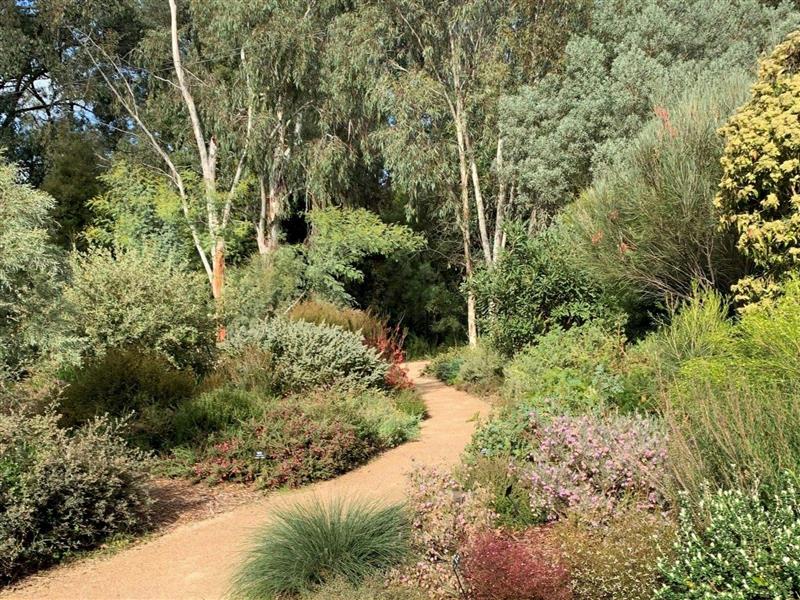 Enjoy walking around Karwarra's many paths to enjoy inspiring garden beds and labelled plants.
