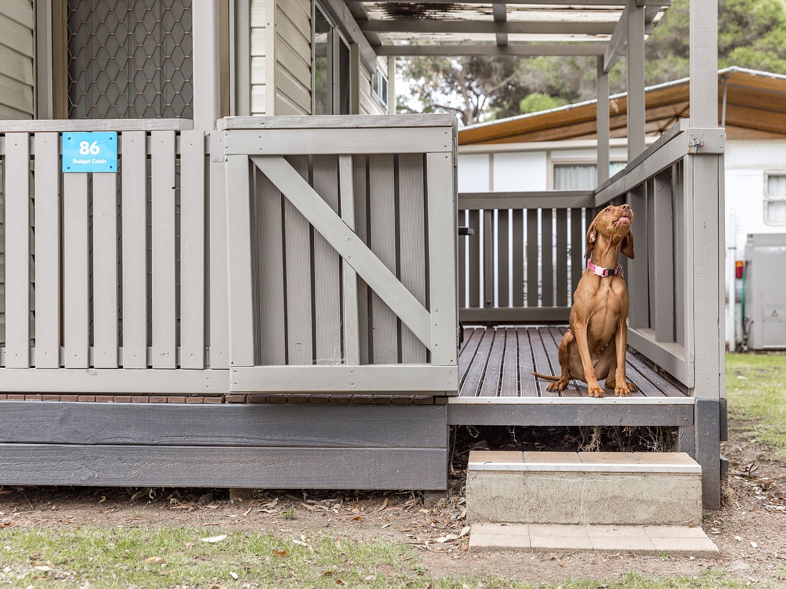 Ibis Cabin Pet Friendly | Exterior