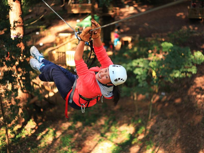 Over 80 Challenges and 20 Flying Foxes