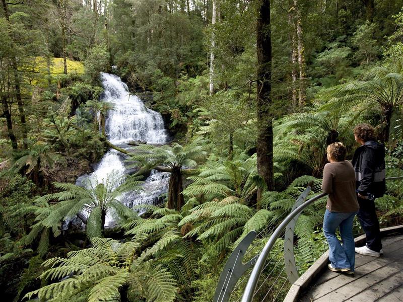 Great Otway National Park edit