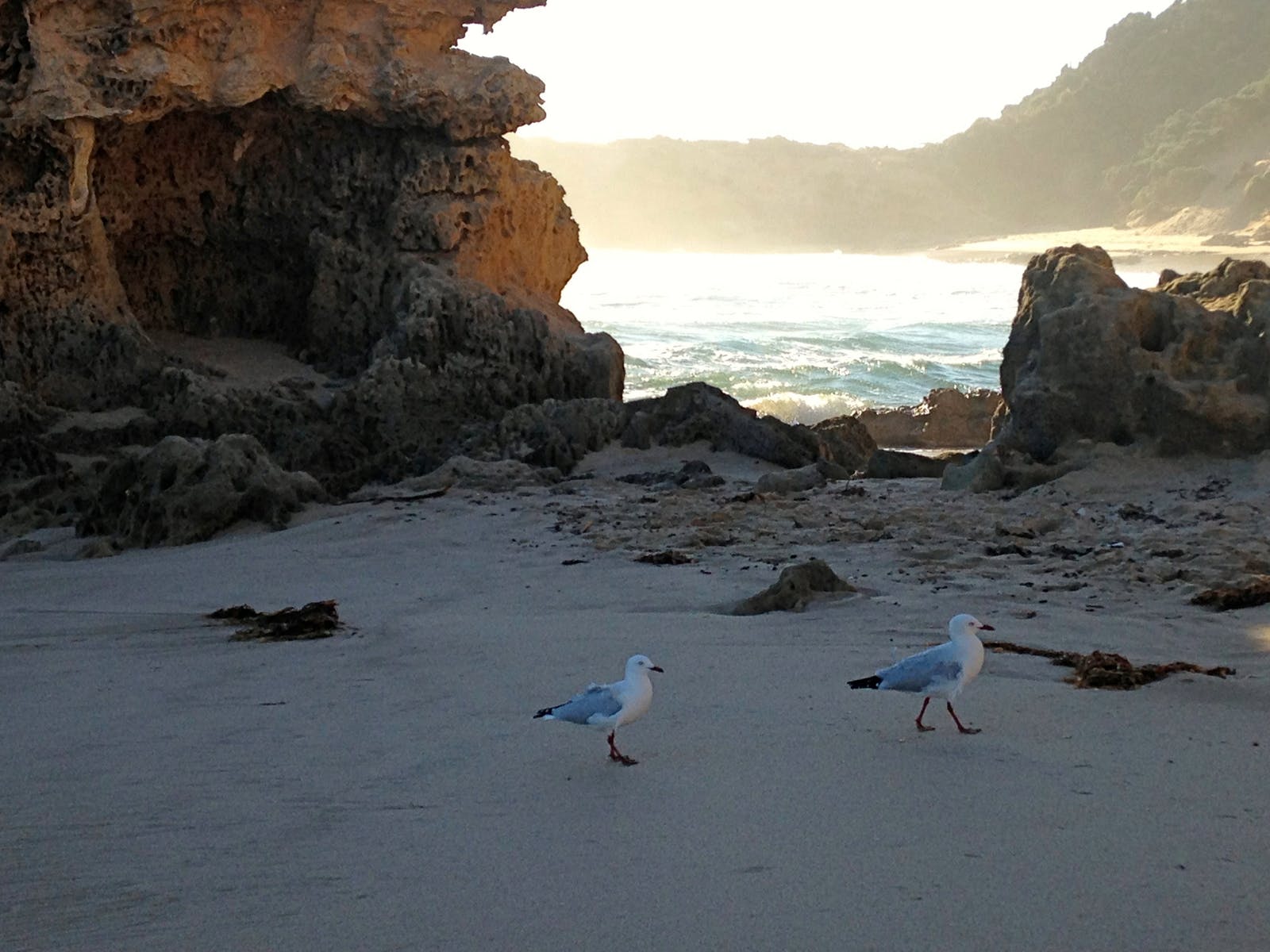 Hidden beach Australia
