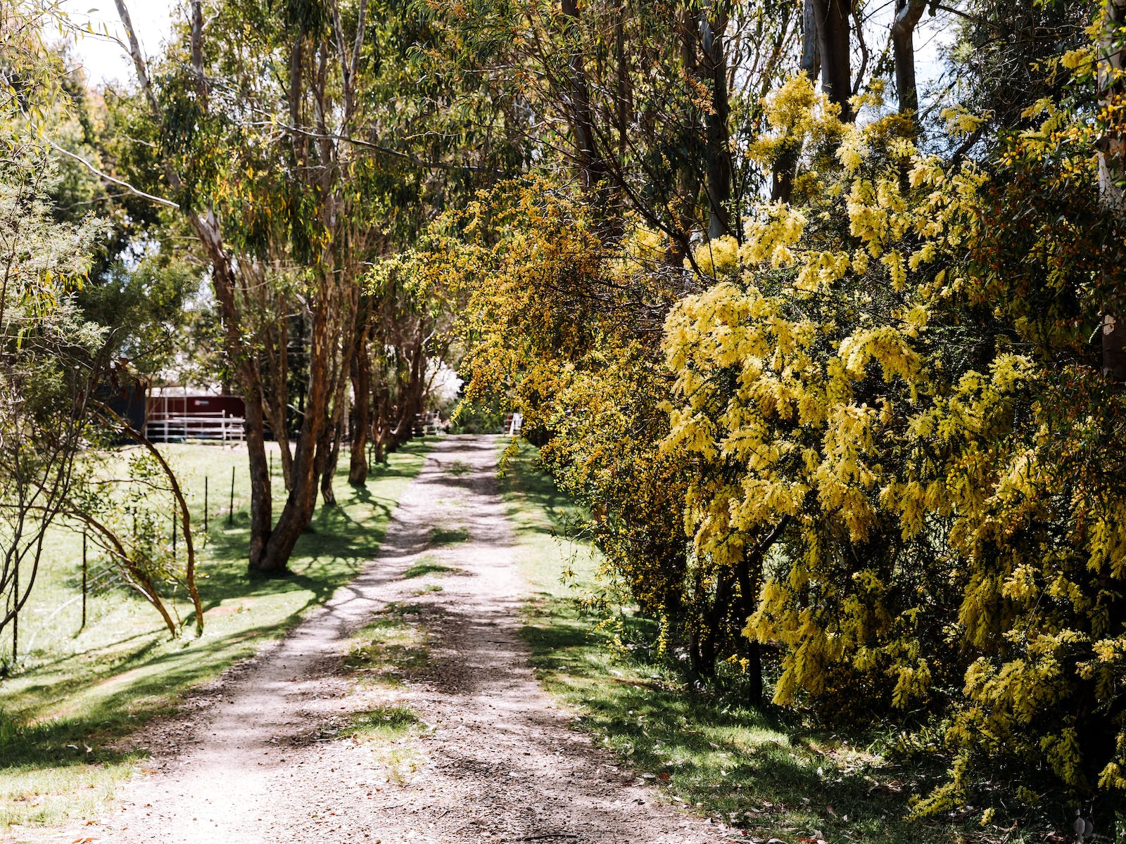 Driveway at Holistic Soulscape