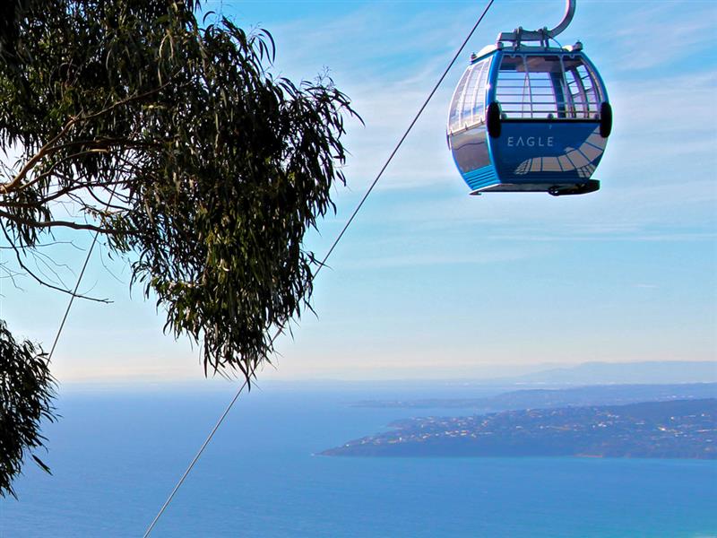 Arthurs Seat Eagle, Mornington Peninsula, Victoria, Australia