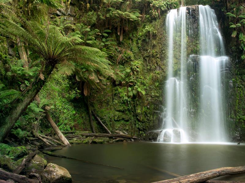Beachamp Falls, Great Otway National Park, Great Ocean Road, Victoria, Australia