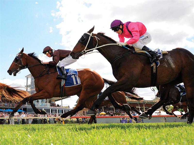 Bendigo Cup, Goldfields, Victoria, Australia