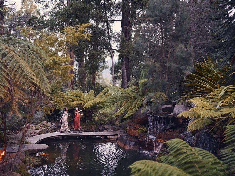 Billabong Falls, Yarra Valley Dandenong Ranges, Victoria