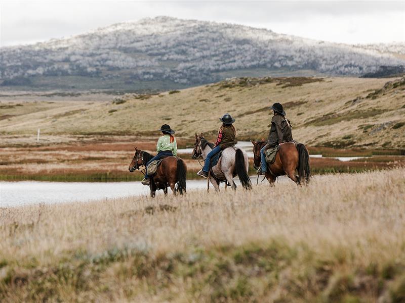 Bogong Horseback Adventures, High Country, Victoria