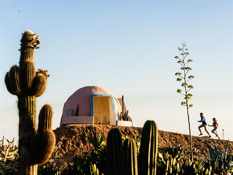 Cactus Country, The Murray, Victoria
