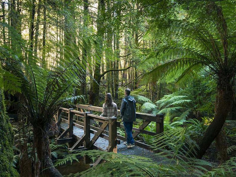 Cumberland Walk, Yarra Valley and Dandenong Ranges, Victoria, Australia
