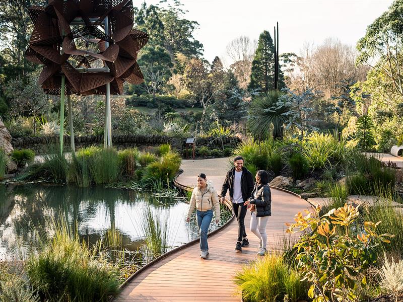 Dandenong Ranges Botanic Garden, Victoria, Australia