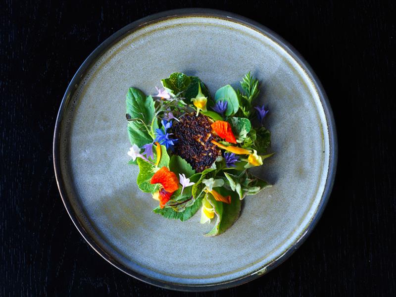 Doot Doot Doot, Jackalope, Mornington Peninsula, Victoria, Australia