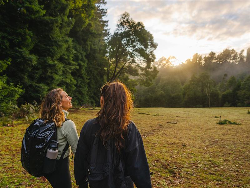 Two people hiking in Yarra Ranges National Park, Yarra Valley and Dandenong Ranges, Victoria, Australia