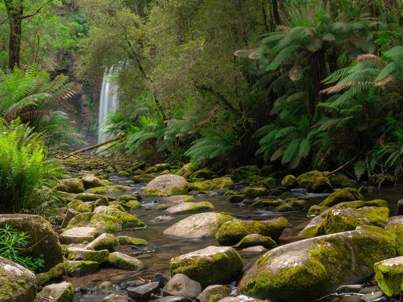 Hopetoun Falls, Great Otway National Park, Great Ocean Road, Victoria, Australia