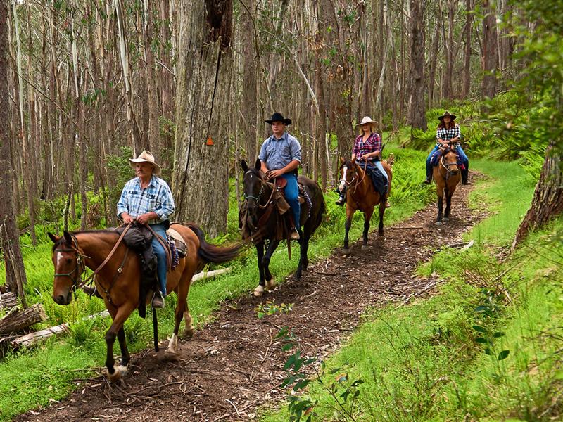 Horse riding, High Country, Victoria, Australia