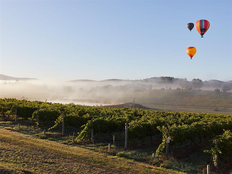 Hot air balloon over Levantine Hill, Yarra Valley & Dandenong Ranges, Victoria, Australia