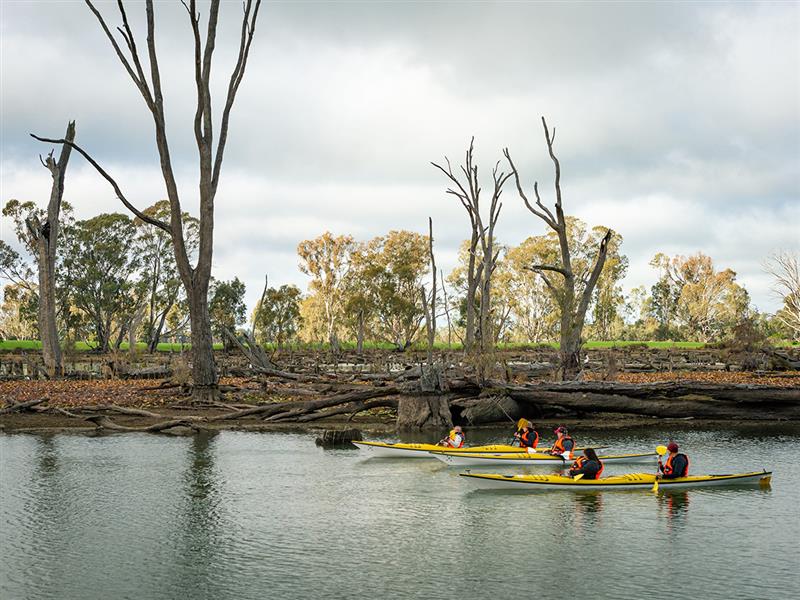 Murray River Adventures, Victoria, Australia