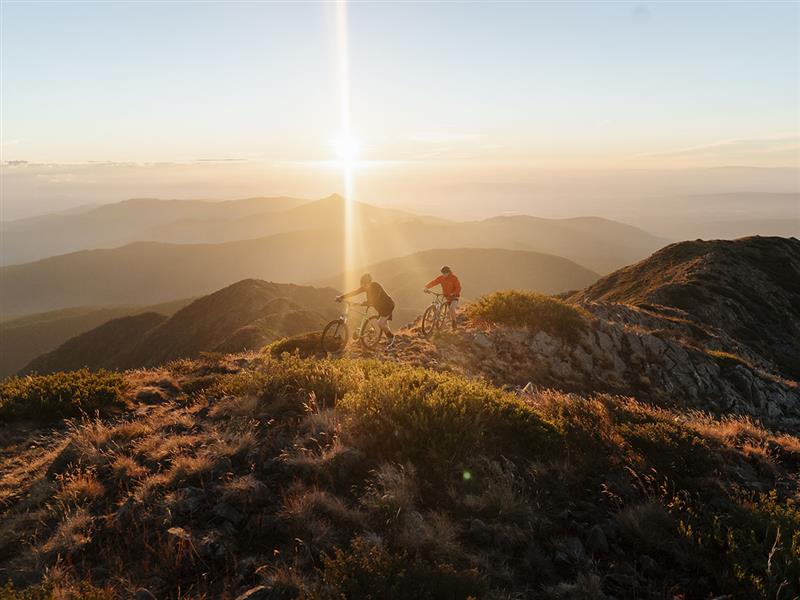 Mountain biking, Mount Buller, High Country, Victoria, Australia