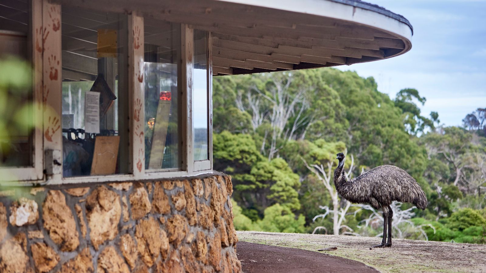 Worn Gundidj, Tower Hill, Great Ocean Road, Victoria, Australia. Photo by Cameron Murray/Assemble Agency.