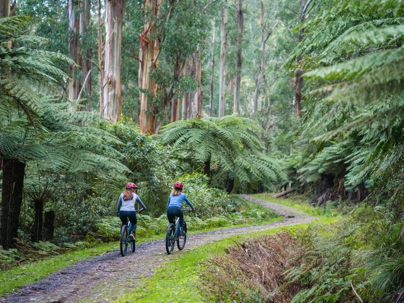 O'Shannassy Aqueduct Trail, Victoria