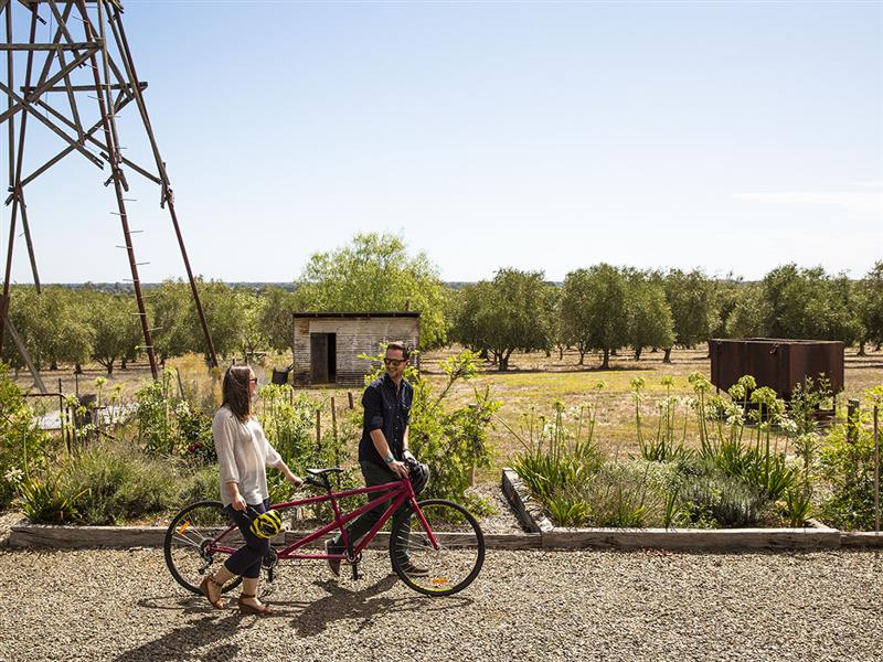 Rutherglen, High Country, Victoria