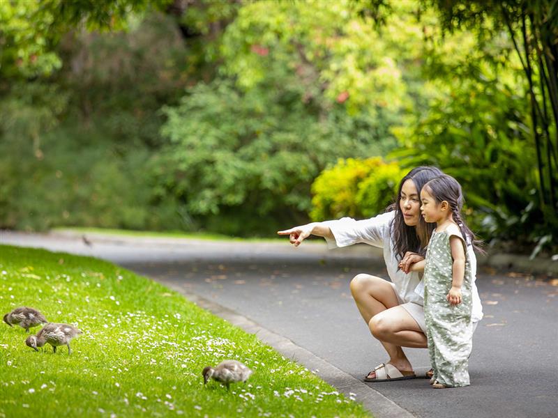 Royal Botanic Gardens, Melbourne. Photo by Vittorio