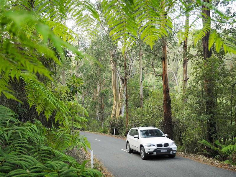 Walhalla Road, Gippsland, Victoria, Australia