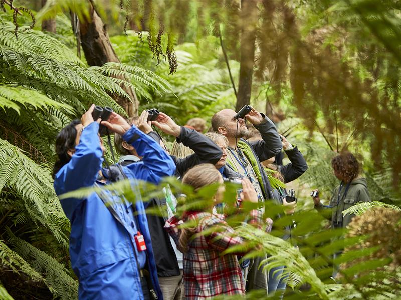 Wildlife Wonders, Great Ocean Road, Victoria, Australia
